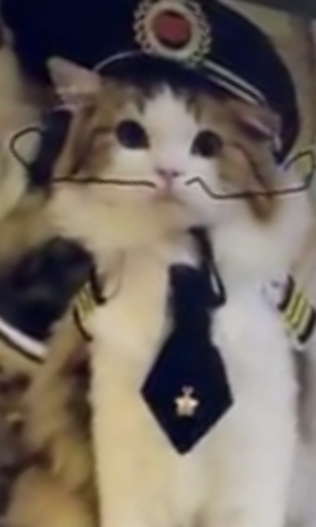 Neuracat