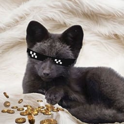 FOX