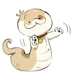 Snake Cat