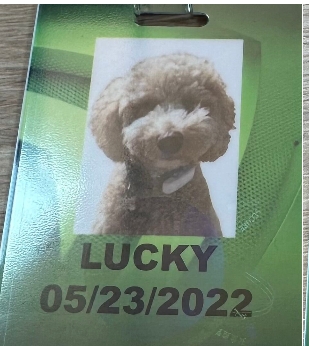 LUCKY logo
