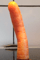 CARROT