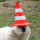 CONE