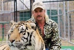 Tiger King