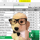 dog.xlsx