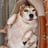 fatdogeat's profile picture