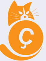 satoshi's 2010 first memecoin