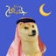 EIDDOGE