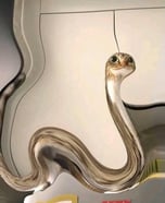 Cat + Snake