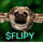 Flipy