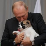 Putins dog