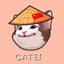 CATEI