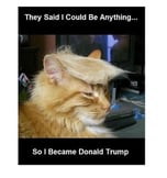 TRUMP CAT