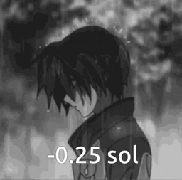 -.25 SOL