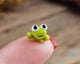 No. 1 Tiktok Smallest Frog