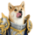 DOGEOW