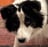 ogdevintraining's profile picture
