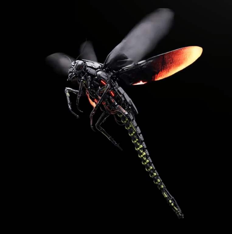 DRAGONFLY