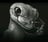 lowalkerol's profile picture