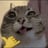 imsiri's profile picture