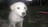 oxset's profile picture