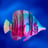 anxiousfish67's profile picture