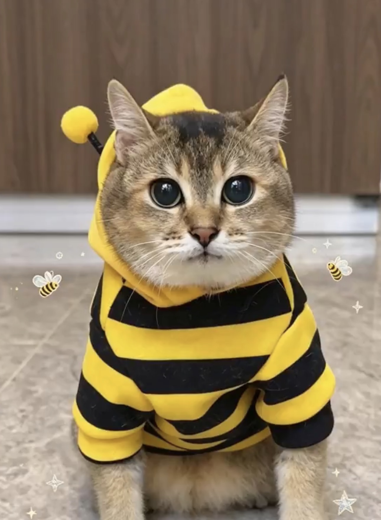 Meimei