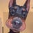 Salimon's profile picture