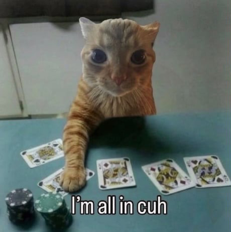 allin