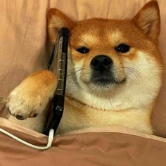 CALLINU