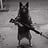 crazy's profile picture
