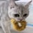 Goosecat128's profile picture