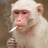UppinPole's profile picture