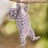 sallol's profile picture