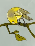 $BIRDTOBER