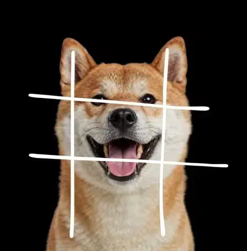 Hashdog token artwork
