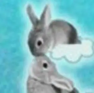 RABBITS