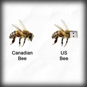 $USBEE