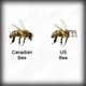 $USBEE