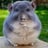 thebiggestwang's profile picture
