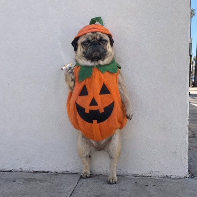 Pugkin