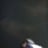acutemarlin2411's profile picture