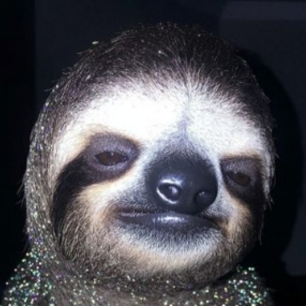 sloth coin logo