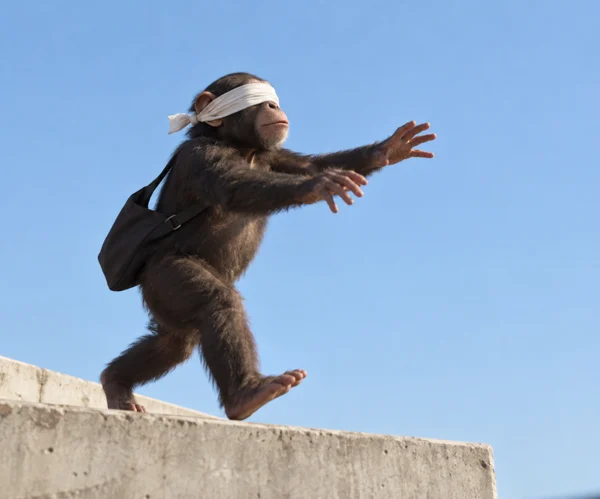 blindape