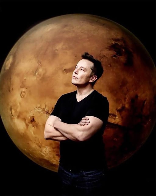 ELON MARS logo