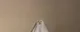 $PCAT