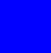 BLUECOIN token artwork