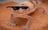 purppp's profile picture
