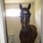 CesiCrypto's profile picture