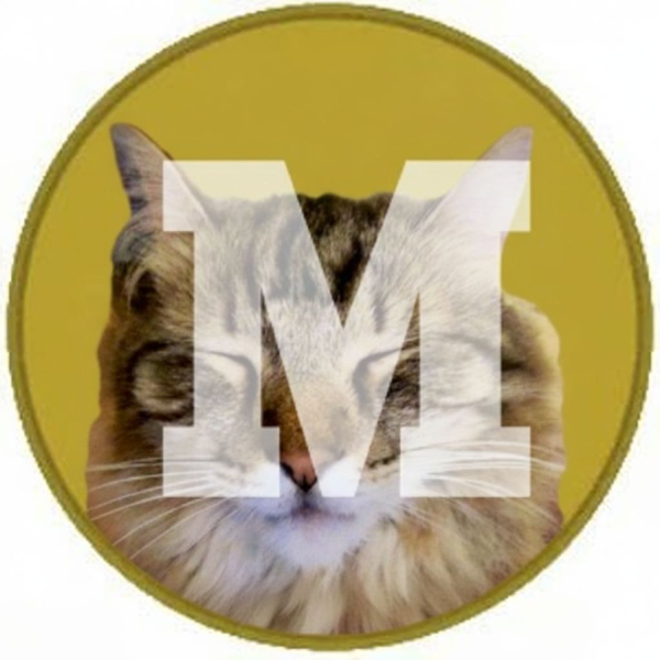 MercCoin token artwork