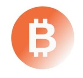 Bitmine Immersion Technologies logo